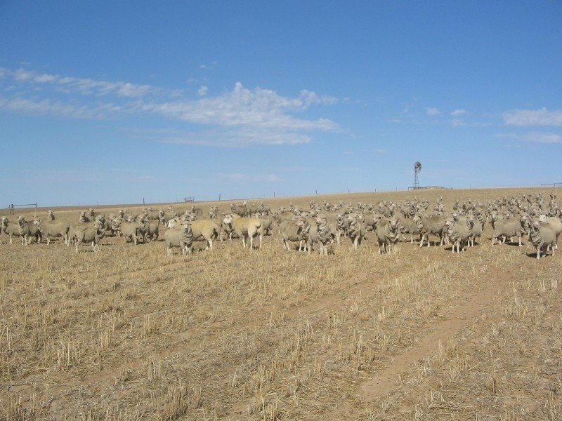 Waneroo North Murrawong Road, Telopea Downs VIC 3420