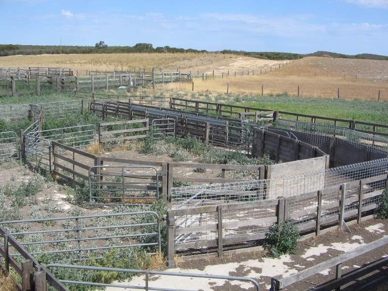 Waneroo North Murrawong Road, Telopea Downs VIC 3420