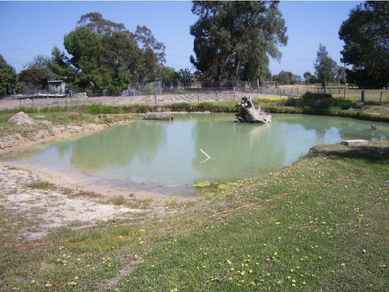 121 Ramsay Terrace, Bordertown SA 5268