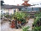 * Mitre 10 Handy Bordertown, Bordertown SA 5268