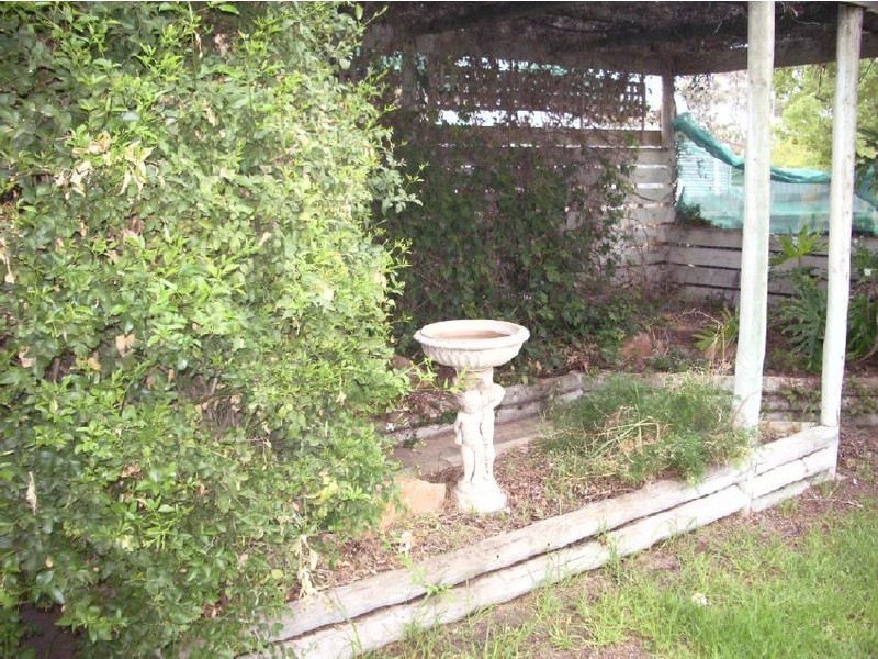 13 Eveline Street, Bordertown SA 5268