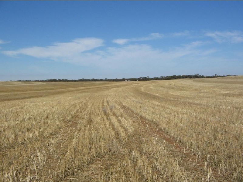 Lot 106 Hammatt Road, Lameroo SA 5302