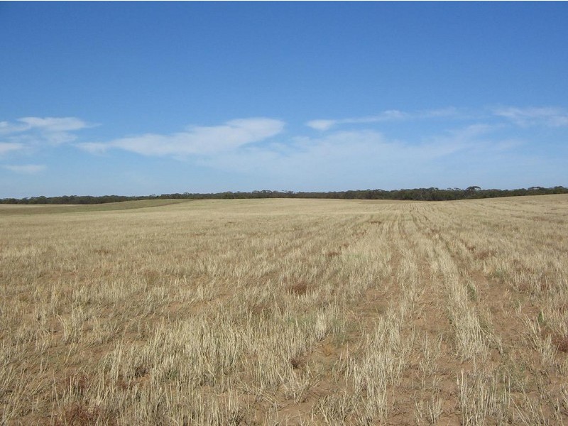 Lot 106 Hammatt Road, Lameroo SA 5302