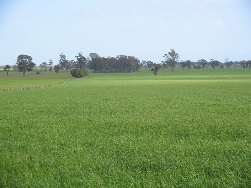 Lot 3 Government Road, Mundulla SA 5270