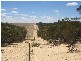 . Pt Sec 122 Lee Road, Lameroo SA 5302