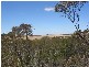 . Pt Sec 122 Lee Road, Lameroo SA 5302