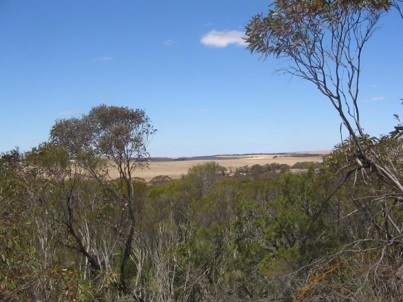 . Pt Sec 122 Lee Road, Lameroo SA 5302