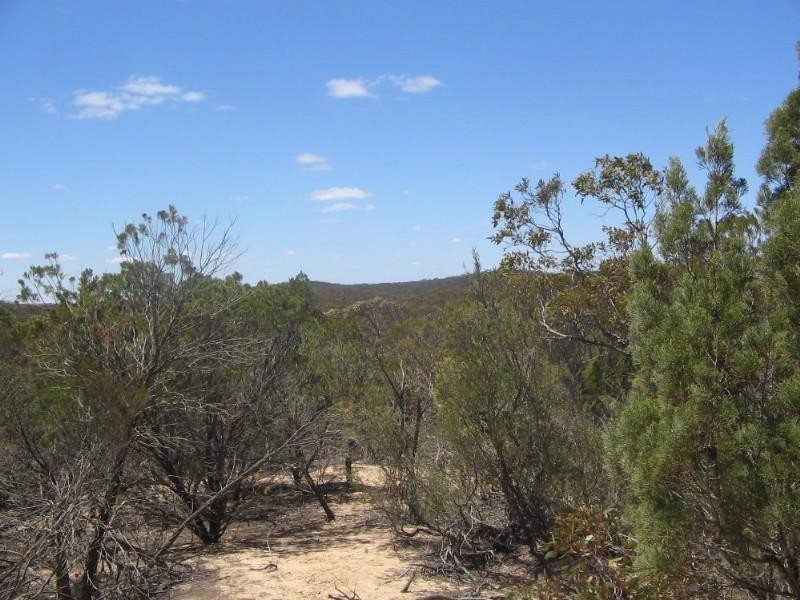 . Pt Sec 122 Lee Road, Lameroo SA 5302