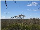 . Pt Sec 122 Lee Road, Lameroo SA 5302