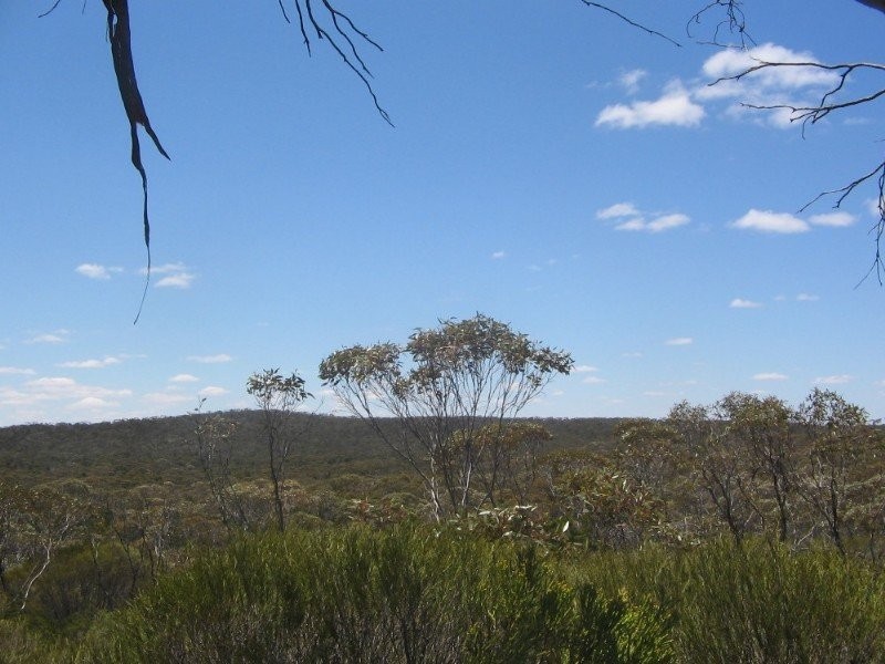 . Pt Sec 122 Lee Road, Lameroo SA 5302