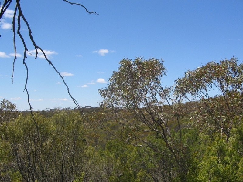 . Pt Sec 122 Lee Road, Lameroo SA 5302