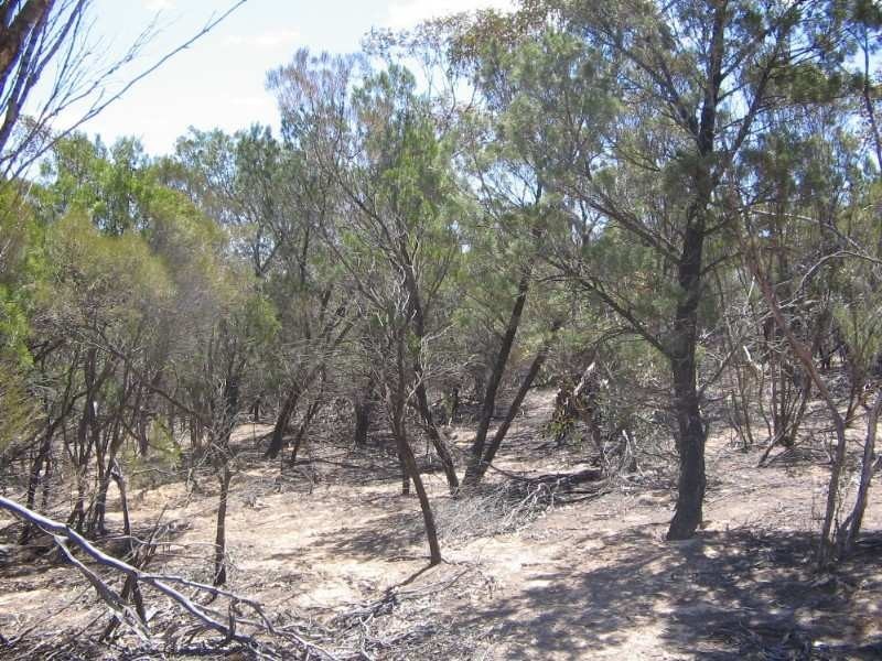 . Pt Sec 122 Lee Road, Lameroo SA 5302