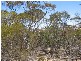 . Pt Sec 122 Lee Road, Lameroo SA 5302