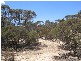 . Pt Sec 122 Lee Road, Lameroo SA 5302