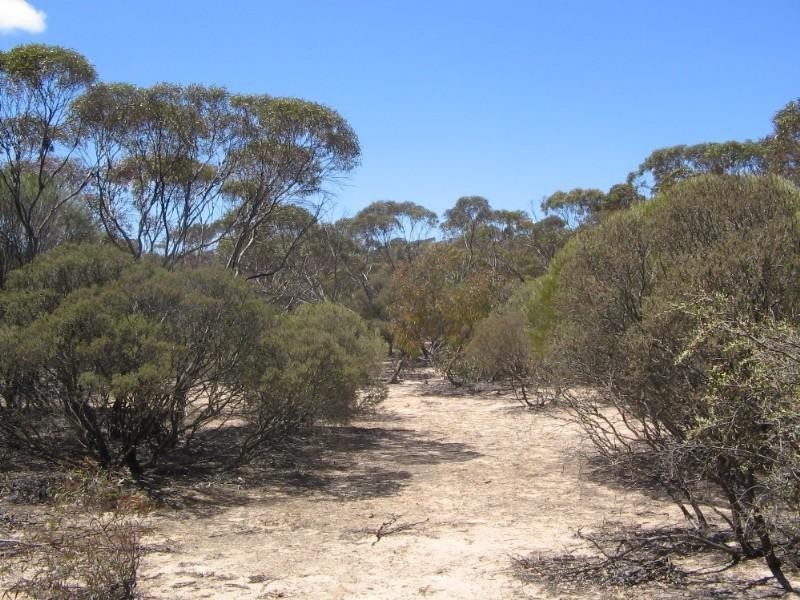 . Pt Sec 122 Lee Road, Lameroo SA 5302