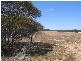 . Pt Sec 122 Lee Road, Lameroo SA 5302