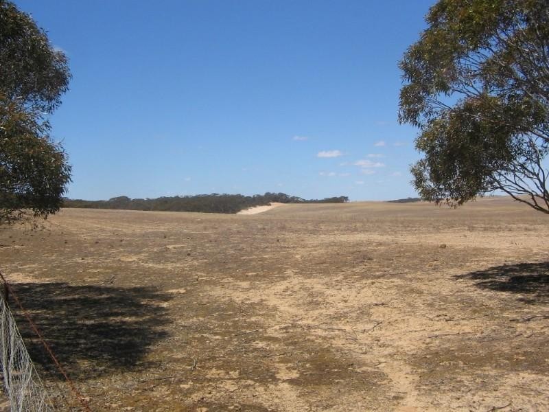 . Pt Sec 122 Lee Road, Lameroo SA 5302