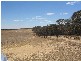 . Pt Sec 122 Lee Road, Lameroo SA 5302