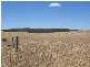 . Pt Sec 122 Lee Road, Lameroo SA 5302