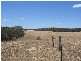 . Pt Sec 122 Lee Road, Lameroo SA 5302