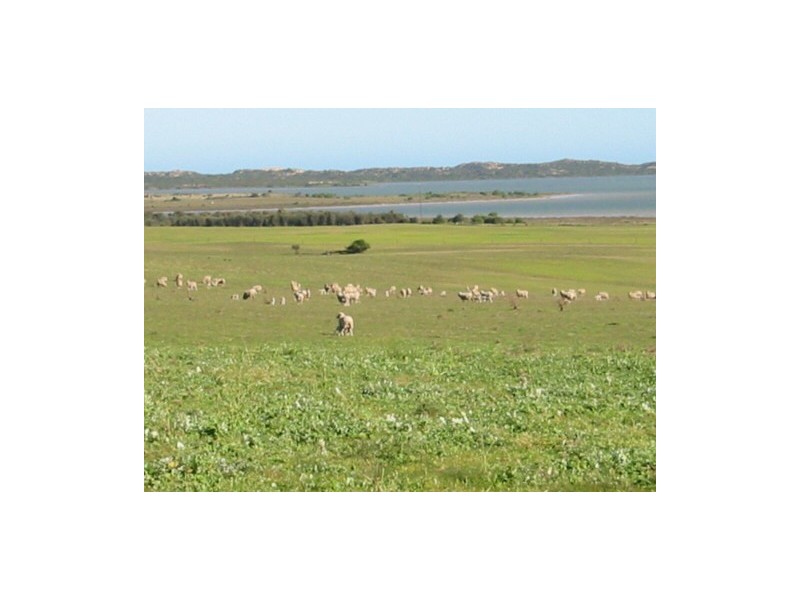 Section 39 Princes Highway, Meningie SA 5264