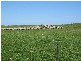 Section 39 Princes Highway, Meningie SA 5264