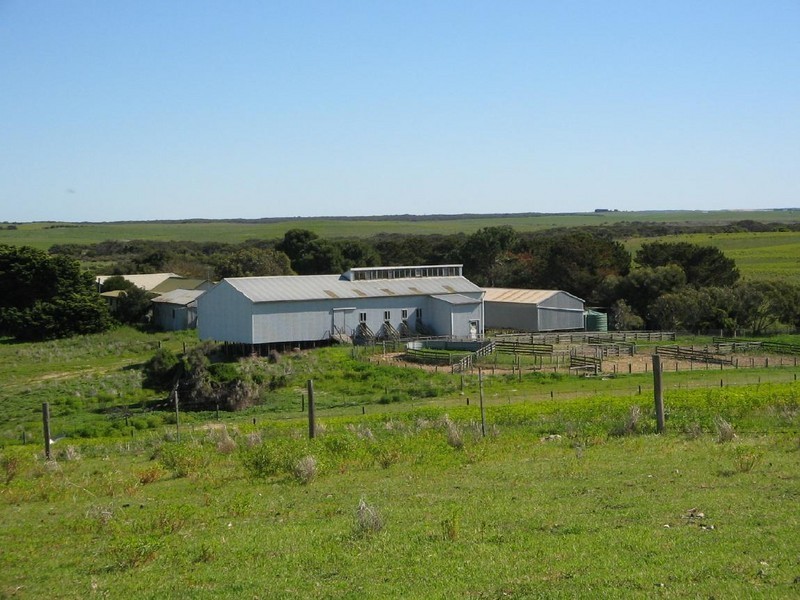 Section 39 Princes Highway, Meningie SA 5264