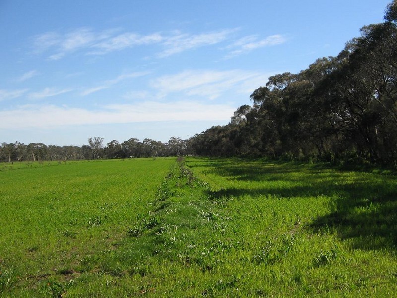 Sec 378 + Naracoorte Road, Bordertown SA 5268