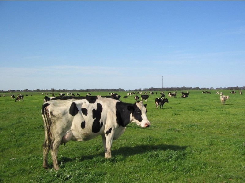 Sec 378 + Naracoorte Road, Bordertown SA 5268