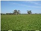 Sec 378 + Naracoorte Road, Bordertown SA 5268
