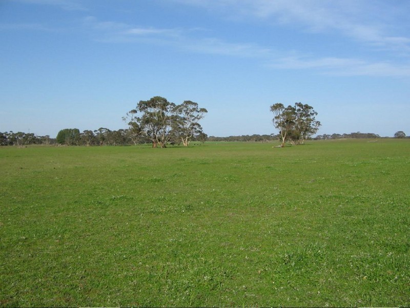 Sec 378 + Naracoorte Road, Bordertown SA 5268