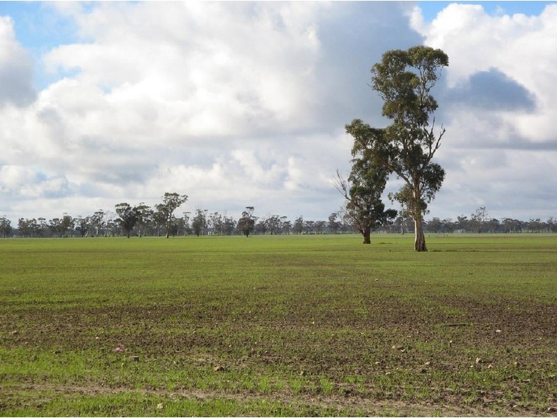 Lots 4 and 5 Naracoorte Road, Bordertown SA 5268