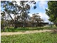 Lots 4 and 5 Naracoorte Road, Bordertown SA 5268