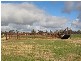 Lots 4 and 5 Naracoorte Road, Bordertown SA 5268