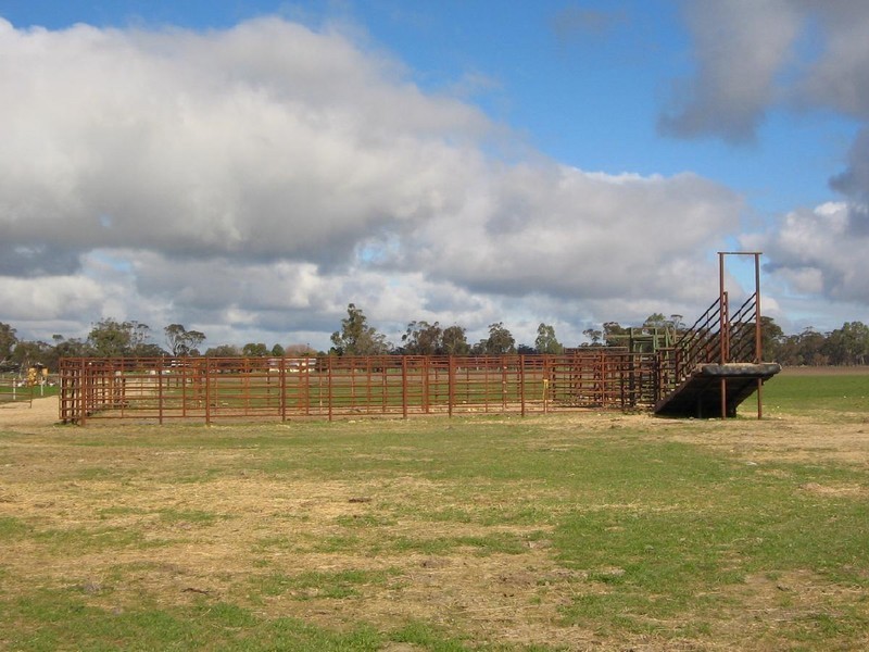 Lots 4 and 5 Naracoorte Road, Bordertown SA 5268