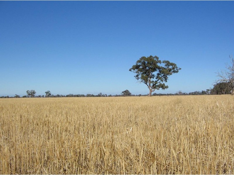 Lot 275 + Pitcher Lane, Bordertown SA 5268