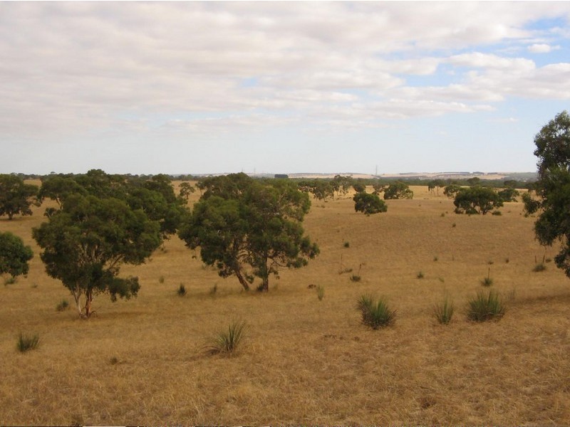 Lots 1 and 2 Broadview Road, Padthaway SA 5271