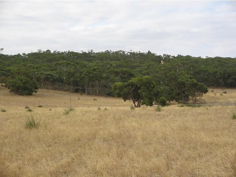 Lots 1 and 2 Broadview Road, Padthaway SA 5271