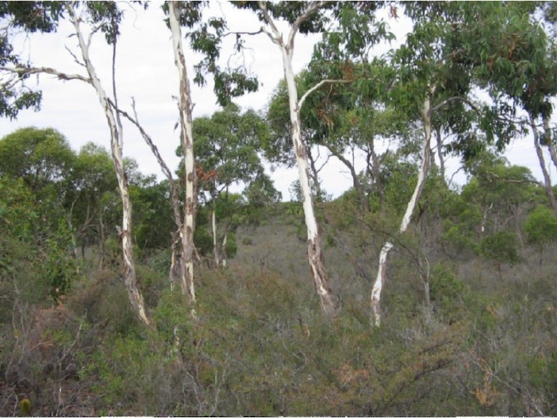 Lots 1 and 2 Broadview Road, Padthaway SA 5271