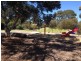 2/55 Hazel Grove, Ridgehaven SA 5097