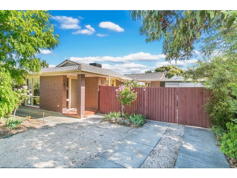 9 Clayton Drive, Grange SA 5022