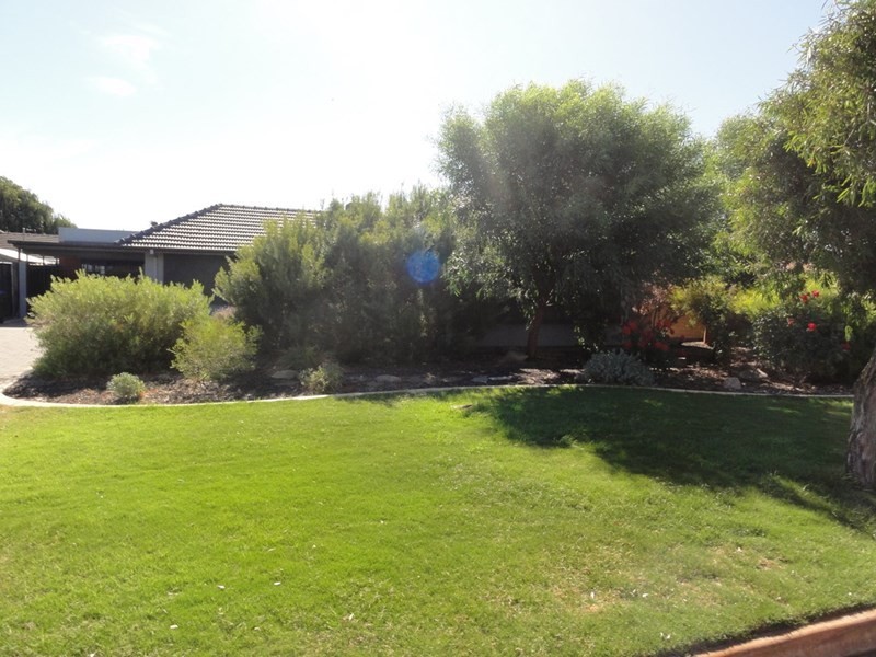 13 Coral Avenue, Semaphore Park SA 5019