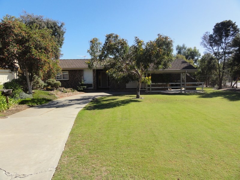 1 BIRDIE Court, Grange SA 5022