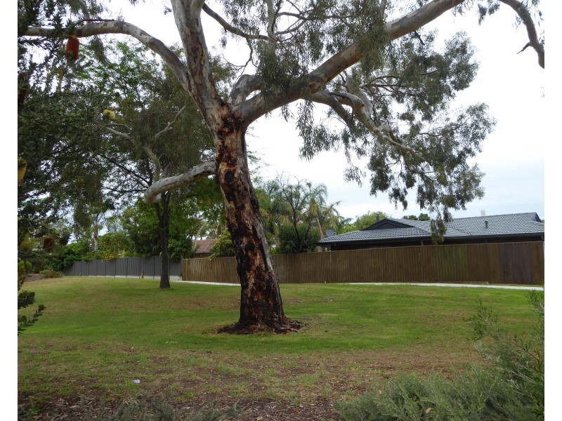 10/30 Frederick Road, West Lakes SA 5021