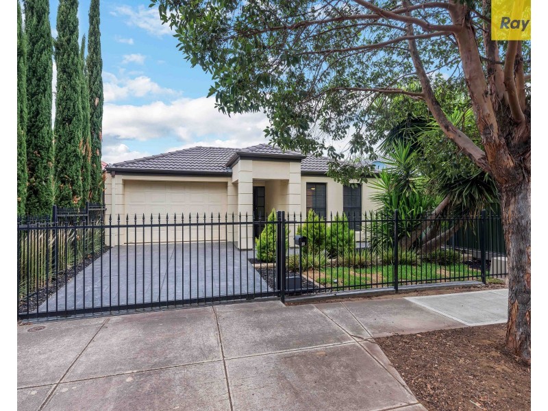 42 Kingston Avenue, Richmond SA 5033