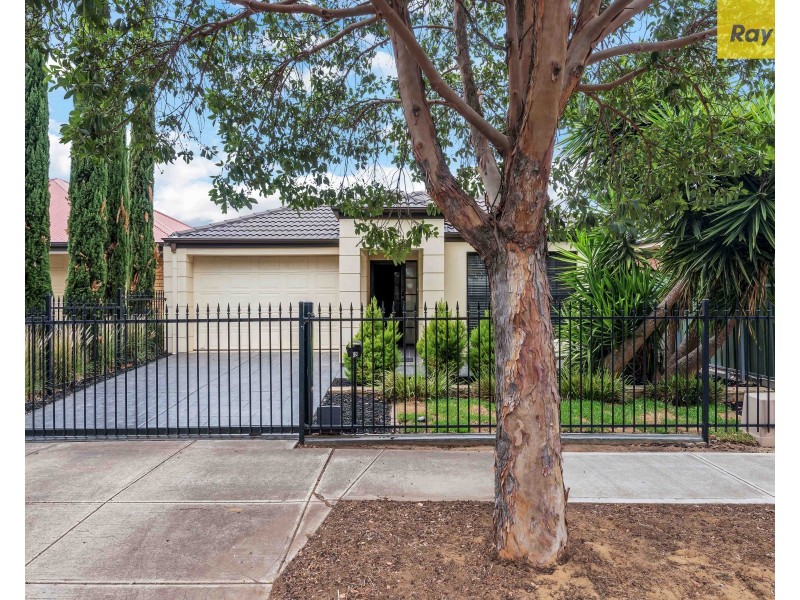 42 Kingston Avenue, Richmond SA 5033