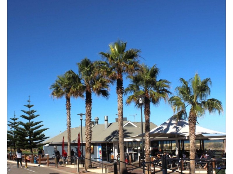 17A Jetty Street, Grange SA 5022