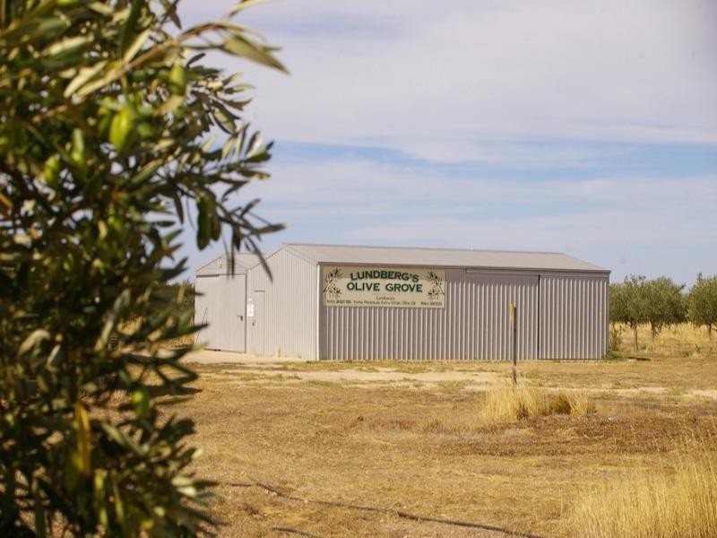 1620 Sobey Road, Kadina SA 5554