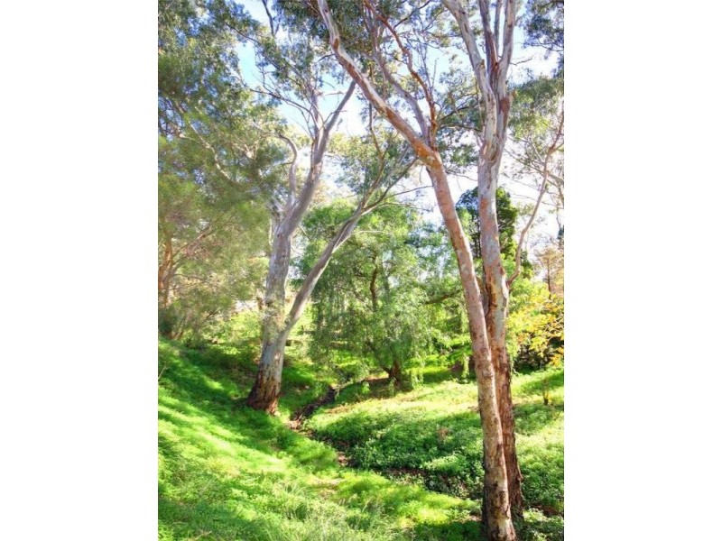 2 Vista Place, Tea Tree Gully SA 5091