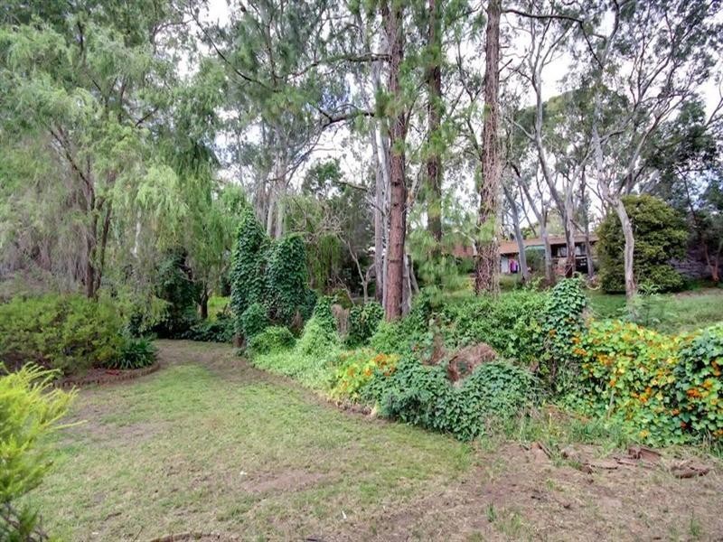 275 Hancock Road, Banksia Park SA 5091
